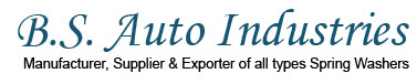 B.S Auto Industries India